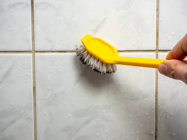 Best Commercial Mold Remediation in Pleasant Hill, TX