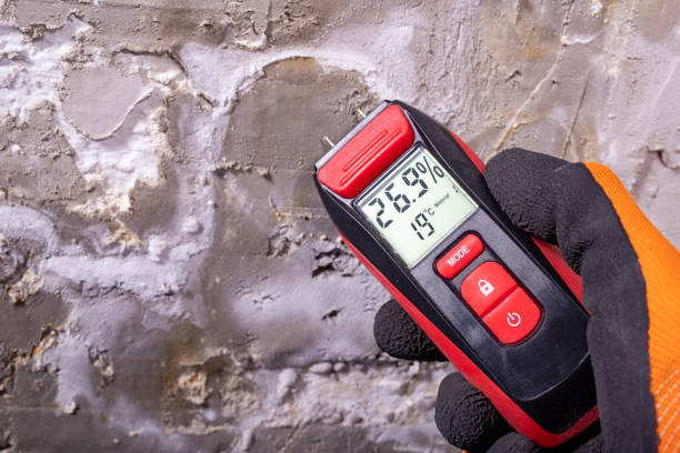 Best Bathroom Mold Remediation in Pleasant Hill, TX