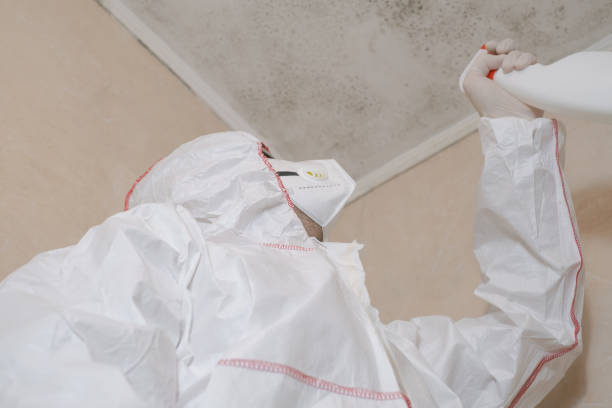 Best Residential Mold Remediation in Pleasant Hill, TX